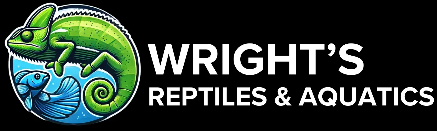 wrightsreptilesandaquatics